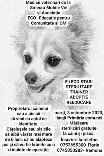 ANUNȚ: Marți, 3 octombrie, voluntarii inimoși organizează o campanie de sterilizări gratuite pentru câini și pisici, la Mătăsaru